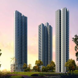 重慶市房地產開發網 全面解析項目詳情與行業動態