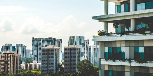 重慶APP開發公司推薦 派維特軟件詳解物業與地產APP解決方案